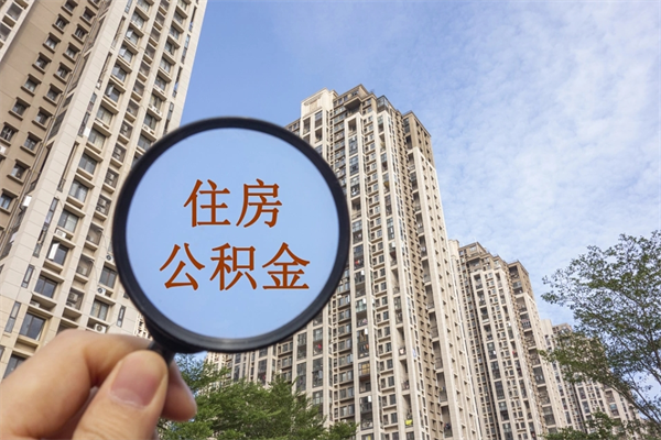 石河子辞职了补充公积金能取不（辞职后补充公积金如何提取）